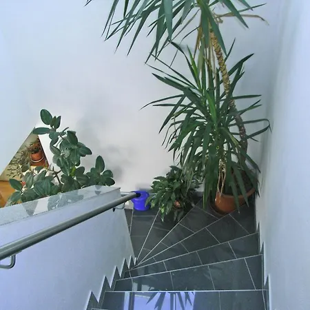 In Aschau Near Lift Kaltenbach