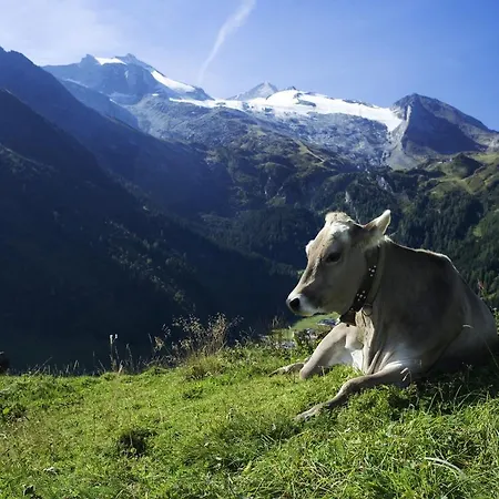 Chalet Quiet Situated Aschau Im Zillertal