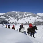 In Aschau Near Lift Kaltenbach * Aschau Im Zillertal